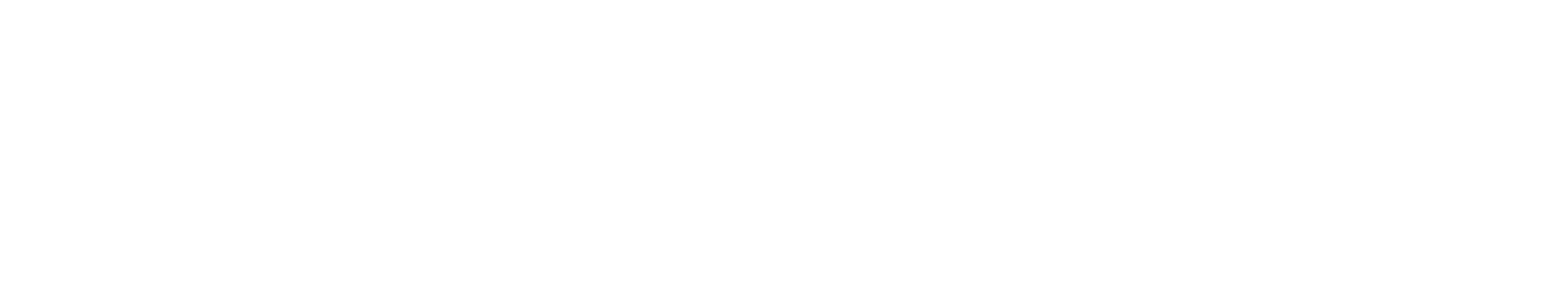 APAC Cybersecurity Fund white logo